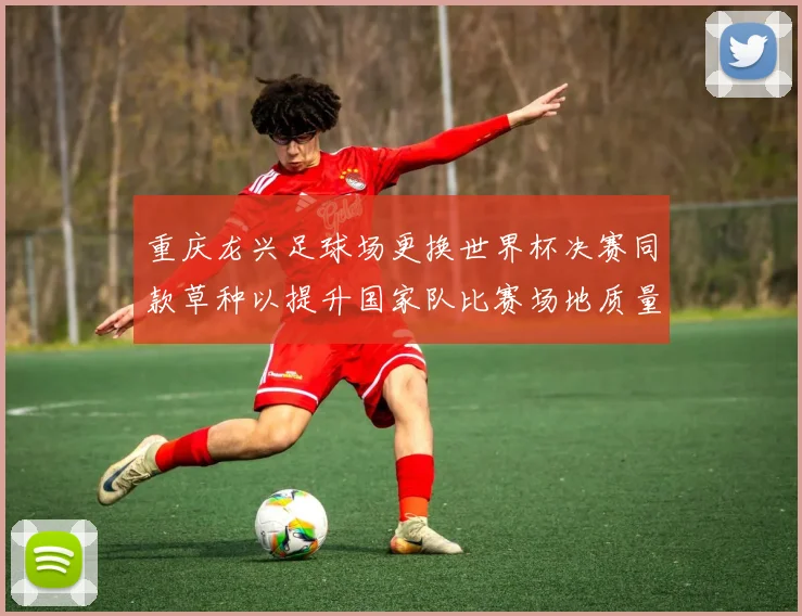 重庆龙兴足球场更换世界杯决赛同款草种以提升国家队比赛场地质量